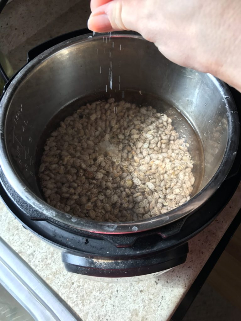 Instant Pot Lectin Free Beans Anderson Functional Medicine